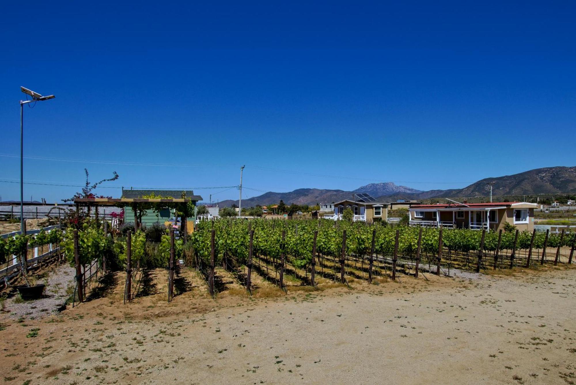 3333 Luz Del Valle Hotel Boutique Valle de Guadalupe Buitenkant foto