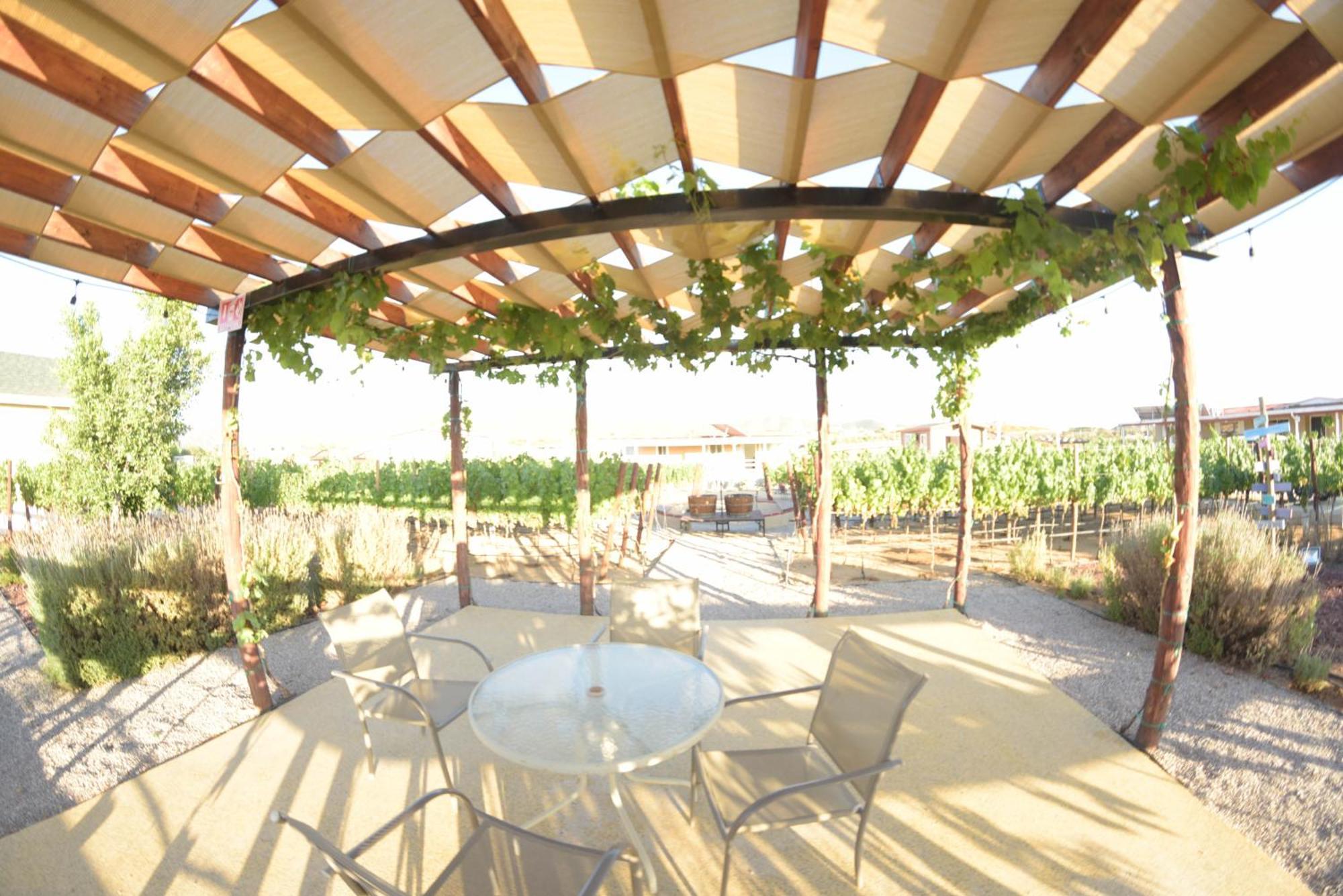 3333 Luz Del Valle Hotel Boutique Valle de Guadalupe Buitenkant foto
