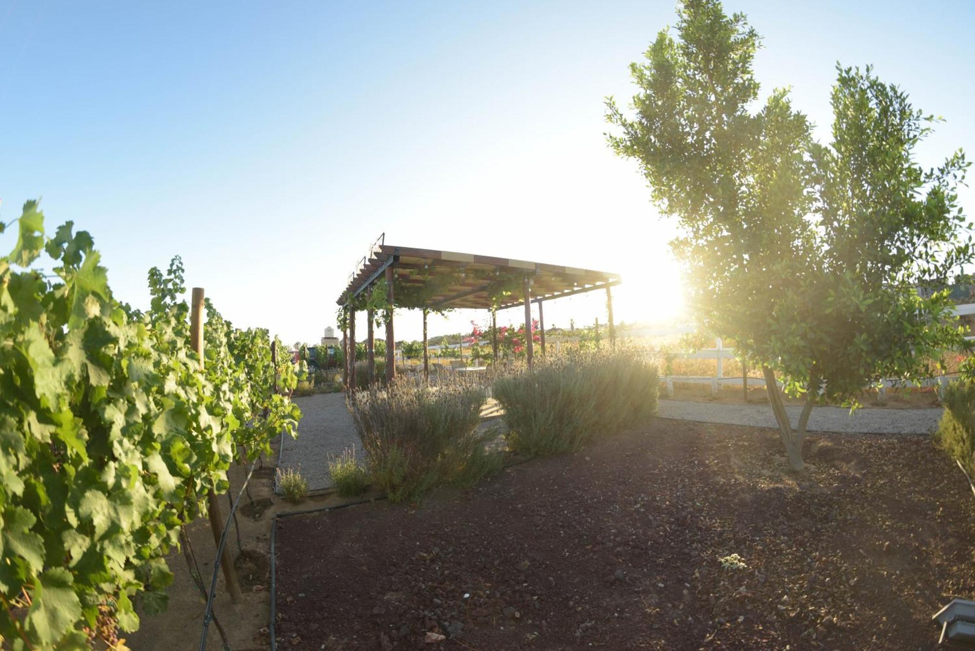 3333 Luz Del Valle Hotel Boutique Valle de Guadalupe Buitenkant foto