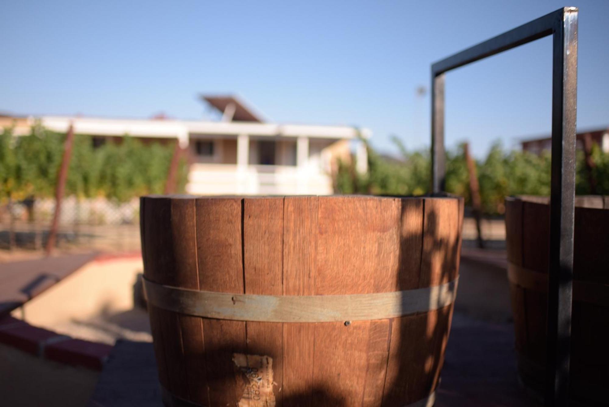 3333 Luz Del Valle Hotel Boutique Valle de Guadalupe Buitenkant foto
